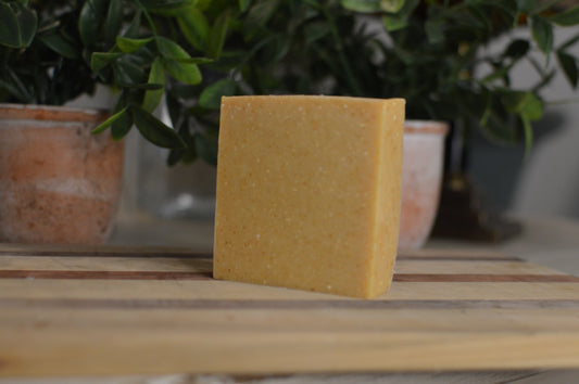 Citrus and Spice Soap Bar